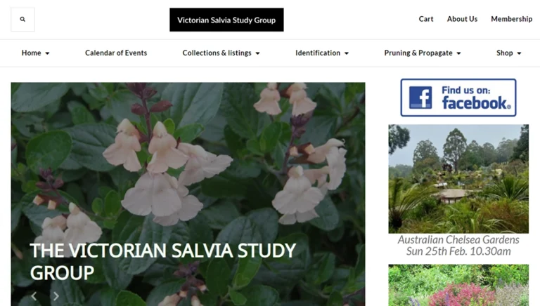 Victorian Salvia Study Group